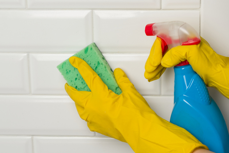 Professional Cleaning Service